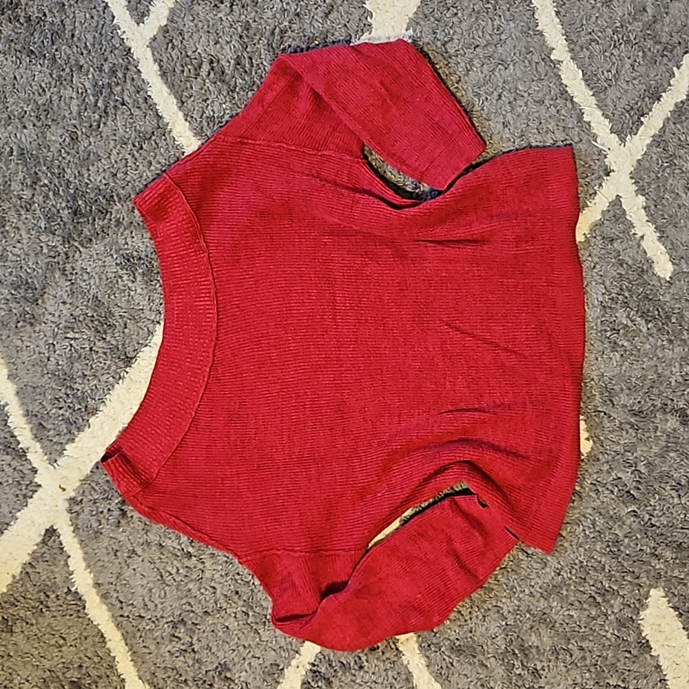 Torrid sweater